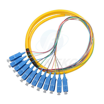 12F FTTH Fibra ottica Pigtails SC APC UPC SM G.657A1 Cavo in fibra ottica