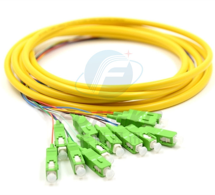 12F FTTH Fibra ottica Pigtails SC APC UPC SM G.657A1 Cavo in fibra ottica