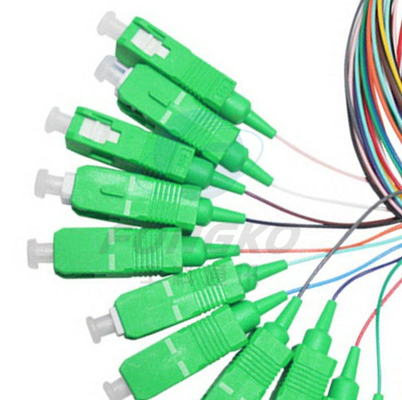 12F FTTH Fibra ottica Pigtails SC APC UPC SM G.657A1 Cavo in fibra ottica